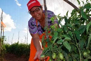 Agricultura Urbana