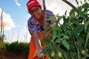 Agricultura Urbana