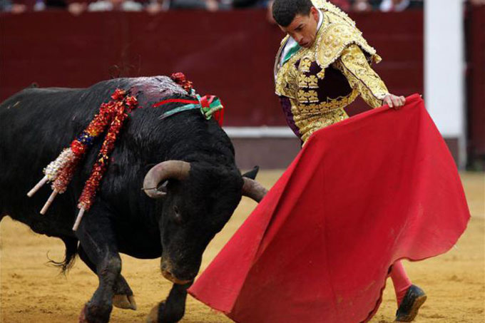 toros