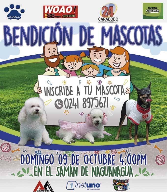 mascotas