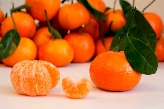 Mandarina