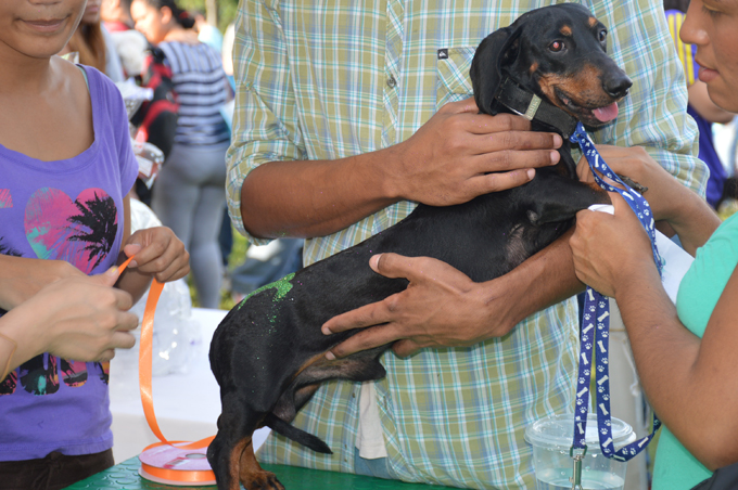 Foto: Eulymar Vargas / Noticias24 Carabobo