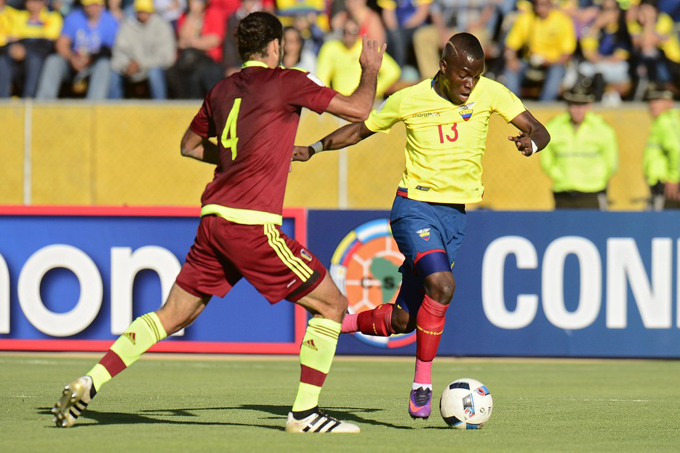 Vinotinto