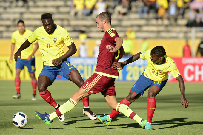 Vinotinto