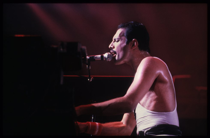 Freddie Mercury 