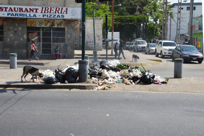 basura5