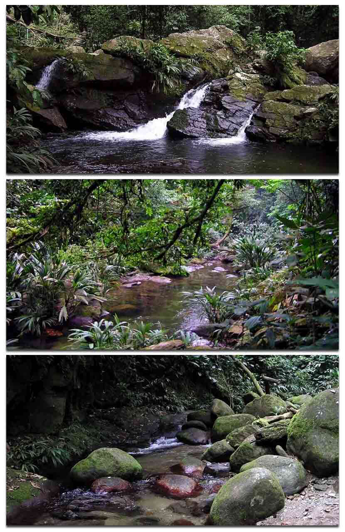 parque nacional san esteban