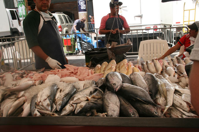 Feria de pescado
