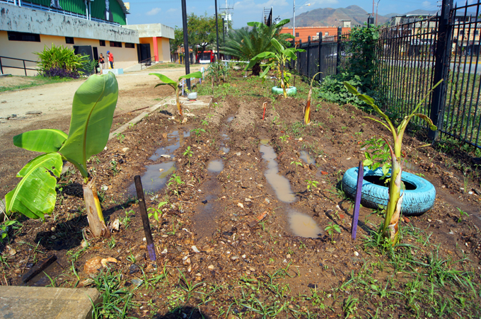 Agricultura