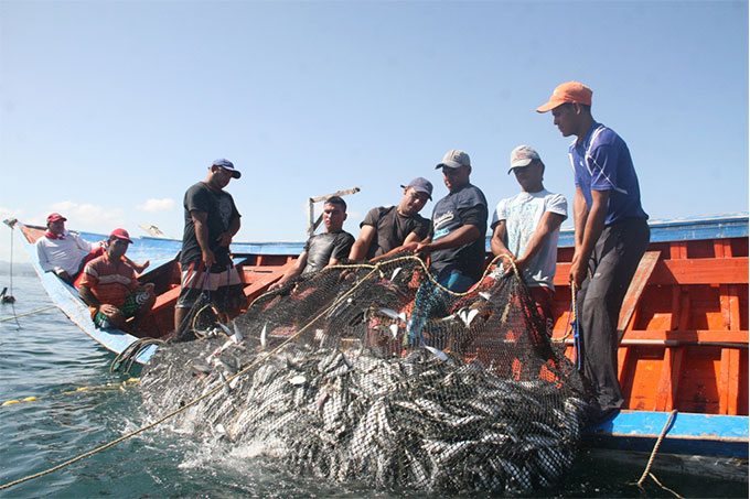 Pescador