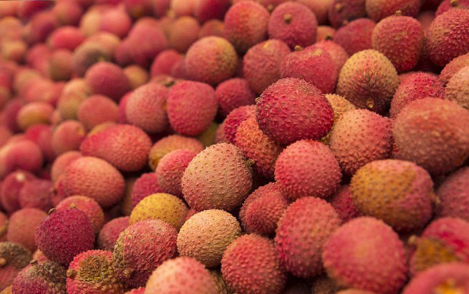 alimentos