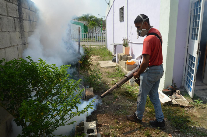 fumigación