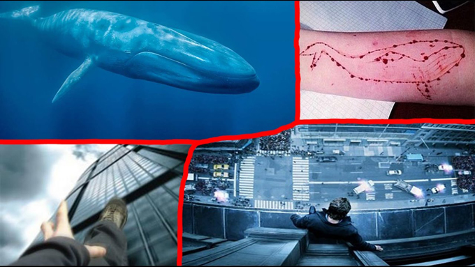 Ballena Azul