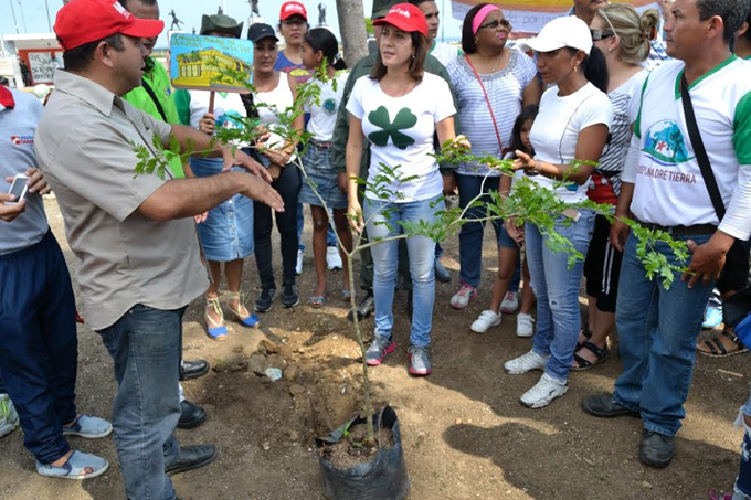 Alcaldía sembró más de 70 plantas