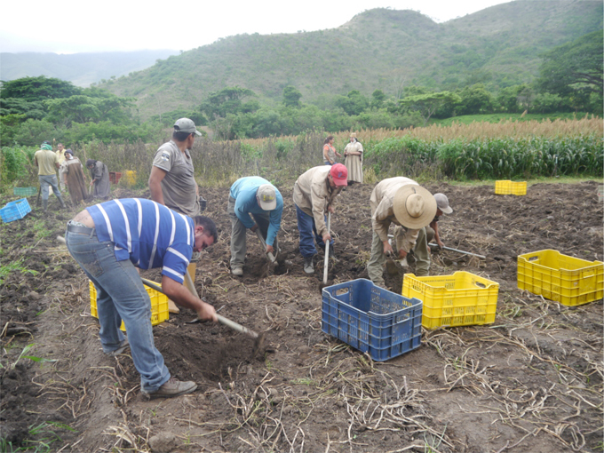 Carabobo