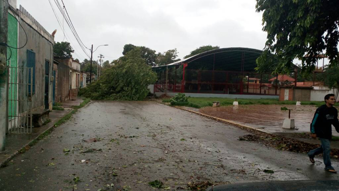 Nueva Esparta tormenta Bret (1)