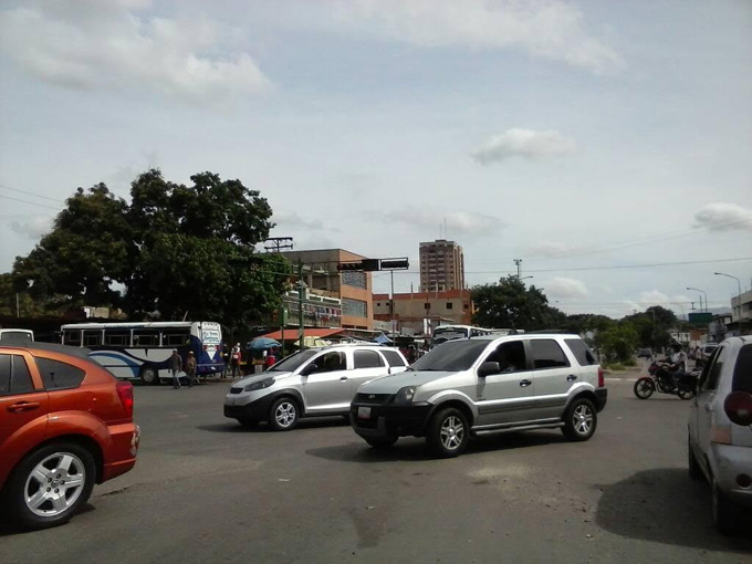 Plantón