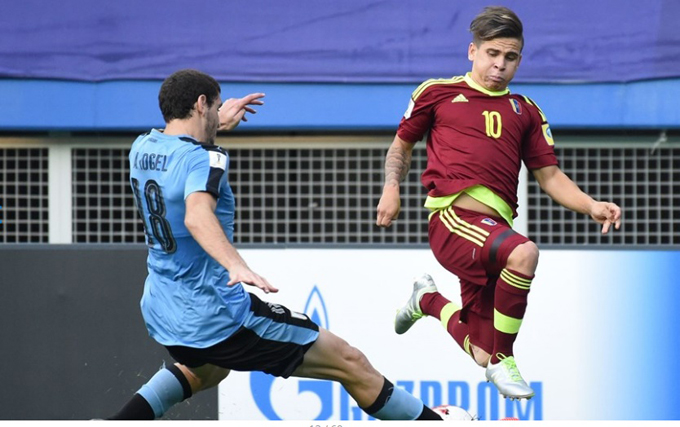 Vinotinto