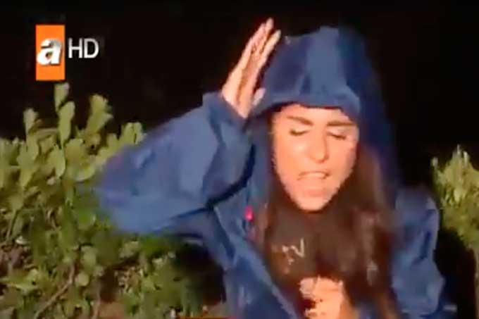 Reportera