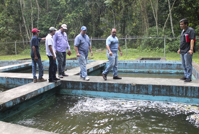 evaluaciones