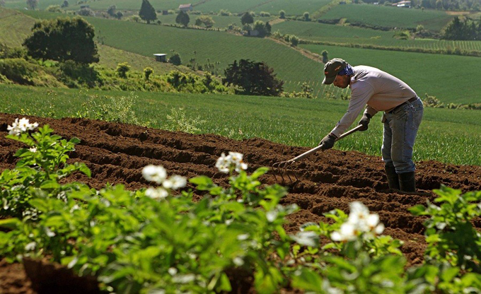 agricultura