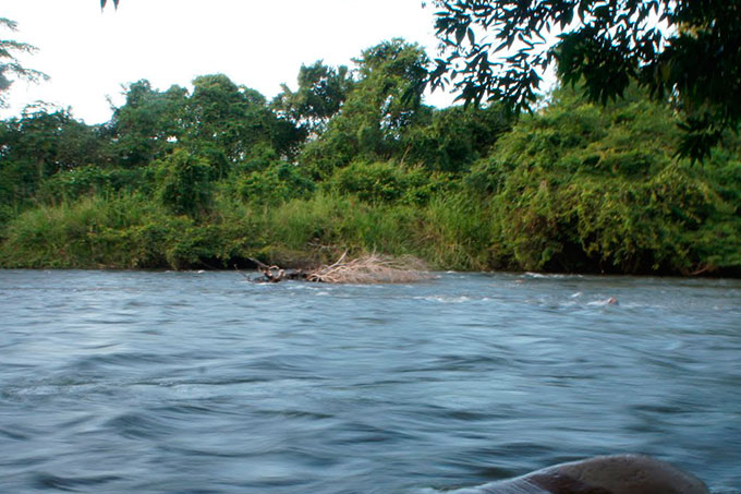 Desaparecidas-Venezuela-Colombia-Río-Orinoco